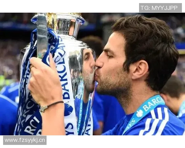 法布雷加斯回忆切尔西岁月称其为职业生涯最佳选择之一 法布雷加斯回忆切尔西岁月称其为职业生涯最佳选择之一