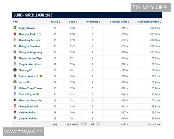 德国转会市场网发布2025年中超联赛球员身价年终更新引发关注