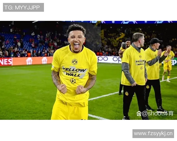 多特签下小贝林3050万欧新赛季迎战拜仁期待破门助攻大礼